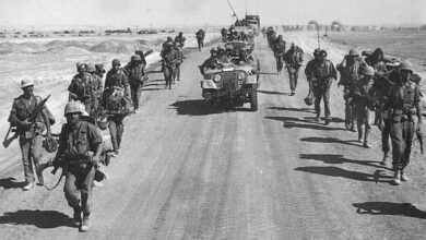 The Muslim Brotherhood Has Betrayed the Egyptian Army Since the 1948 War… A Journalist Presents the Evidence