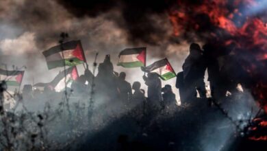 The Muslim Brotherhood and the Palestinian cause: how they turn it into a tool for media and political influence
