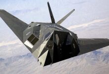 The Plane That Never Dies: F-117 Takes to the Skies 17 Years After Retirement