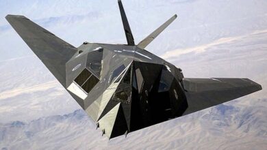 The Plane That Never Dies: F-117 Takes to the Skies 17 Years After Retirement