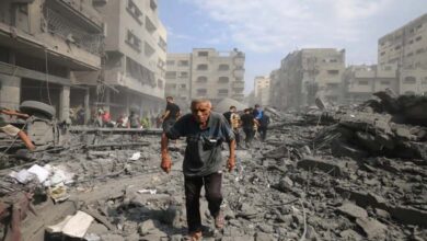 The Second Anniversary of the War: Terrifying Losses Beyond Numbers in Gaza