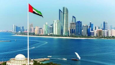 The UAE Between Media Narratives and the Lack of Logic in Turkish Accusations