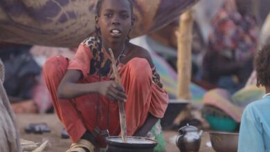 A Moment of Truth in Sudan: Why Institutional Civil Administration Has Become the Only Option to Save the State and the Economy