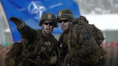 Autonomous systems and cheaper weapons… this is what small NATO countries need