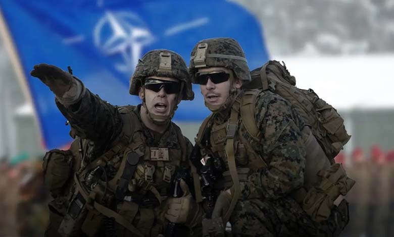 Autonomous systems and cheaper weapons… this is what small NATO countries need