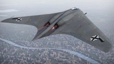 Horten Ho 229: The Nazi Bomber That Preceded the Stealth Aircraft Era