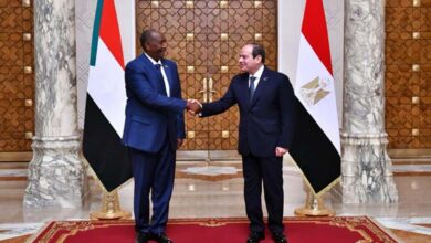 Investigation into Egypt’s Alleged Role in the Sudan War and Its Impact on Civilians