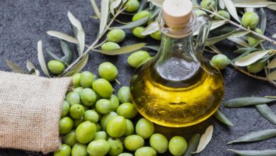 Olive Oil: A Fountain of Youth or Just a Healthy Fat?
