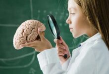 Revealing the Age at Which the Human Brain Begins to Decline