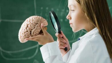 Revealing the Age at Which the Human Brain Begins to Decline