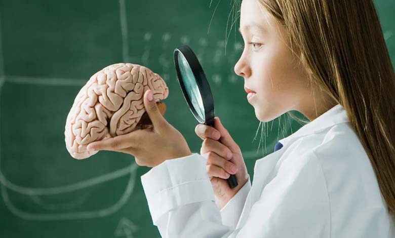 Revealing the Age at Which the Human Brain Begins to Decline