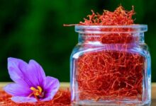 Saffron: A Natural Hope to Improve Memory in Alzheimer’s Patients
