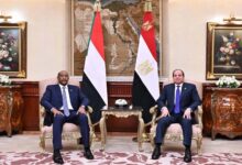 The Invisible Hand of Cairo in Khartoum: Investigative Report on Egyptian Military Supplies