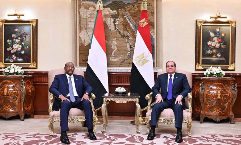 The Invisible Hand of Cairo in Khartoum: Investigative Report on Egyptian Military Supplies