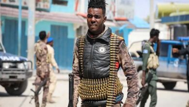A major blow to Al-Shabab: 15 members killed in Somali army operation