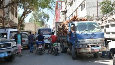 Blatant provocation in Taiz: the Brotherhood honors a killer while suppressing calls for justice