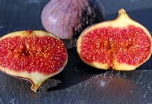 Five reasons to eat figs this winter