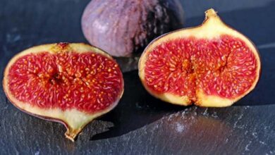 Five reasons to eat figs this winter