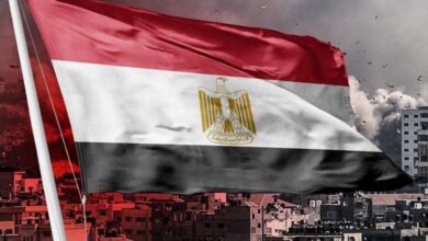 From Gaza to Tehran: 2025 — a landmark year for Egyptian diplomacy