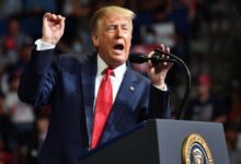 Hedgehog shield and pragmatism… 6 lessons from Trump for world leaders in 2026