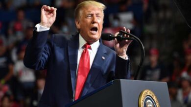 Hedgehog shield and pragmatism… 6 lessons from Trump for world leaders in 2026