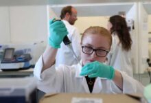 Innovating with Copper-Based Compounds to Fight Cancer