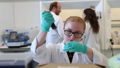 Innovating with Copper-Based Compounds to Fight Cancer