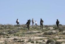 Settler violence in the West Bank targets foreign solidarity activists