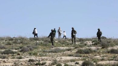 Settler violence in the West Bank targets foreign solidarity activists