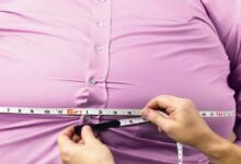 Study: the global food system contributes to obesity and climate change