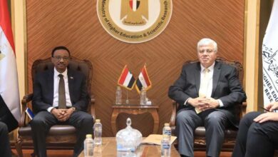 The Hidden Face of the Sudanese Conflict: Investigating Egypt’s Role and Its Impact on Civilians