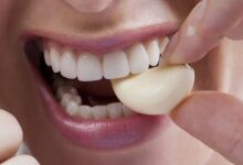 The potential role of garlic as an alternative to mouthwash