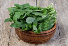 Watercress: The Vegetable That Tops the Health Charts