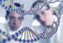 A Study Links Mental Disorders to a Shared Genetic Foundation