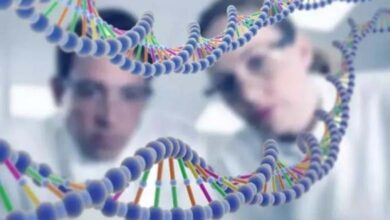 A Study Links Mental Disorders to a Shared Genetic Foundation