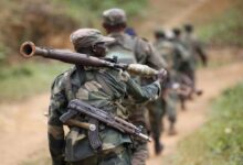 Black Harvest in Eastern Congo… Civilians Pay the Price of the Conflict
