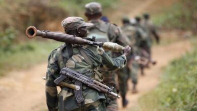 Black Harvest in Eastern Congo… Civilians Pay the Price of the Conflict
