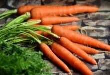 Carrots: Not Only Good for Vision but Also Helpful for Weight Loss