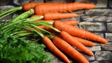 Carrots: Not Only Good for Vision but Also Helpful for Weight Loss