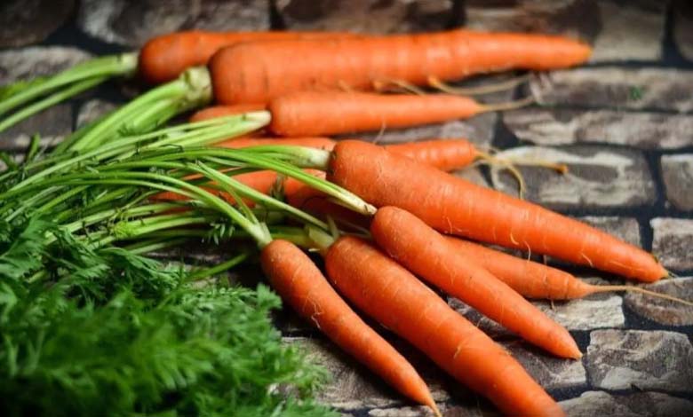 Carrots: Not Only Good for Vision but Also Helpful for Weight Loss