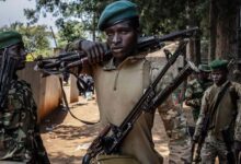 Crisis in eastern DRC: does Zambia hold the key?