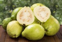 Fiber and antioxidants: how guava supports the health of older adults