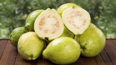 Fiber and antioxidants: how guava supports the health of older adults