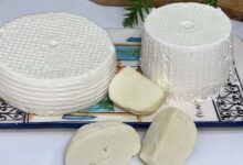 High-Fat Cheese: A True Ally for the Brain?