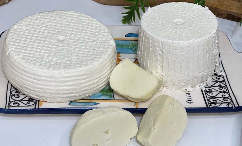 High-Fat Cheese: A True Ally for the Brain?