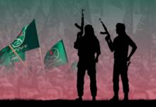 How does the Muslim Brotherhood seek to target national projects?