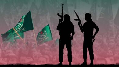 How does the Muslim Brotherhood seek to target national projects?