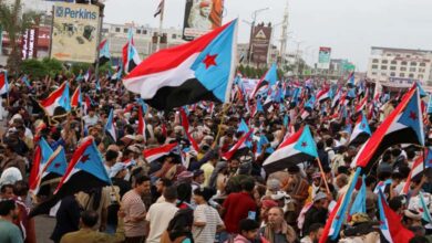 Southern Yemen between regional influence and local control: the struggle between stability and power