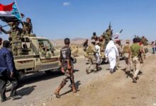 Southern Yemen under Saudi pressure: the struggle between control and stability