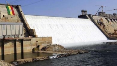 The Grand Ethiopian Renaissance Dam and Gaza at the core of Egyptian-American talks